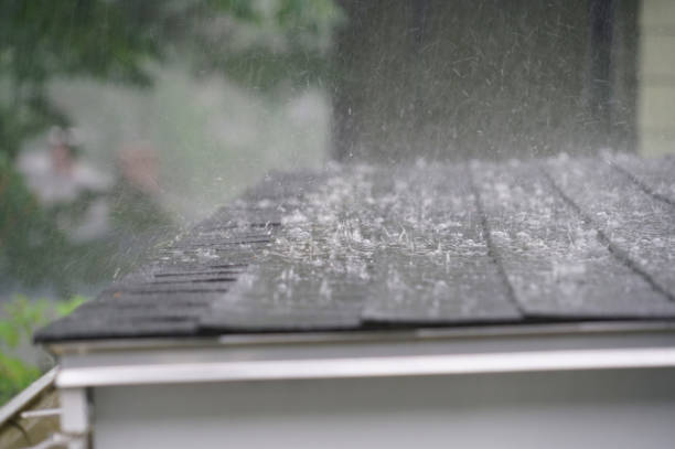 Best Storm Damage Roof Repair  in Waikapu, HI